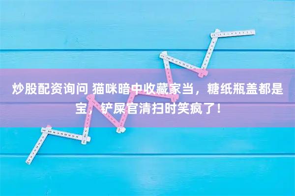 炒股配资询问 猫咪暗中收藏家当，糖纸瓶盖都是宝，铲屎官清扫时笑疯了！