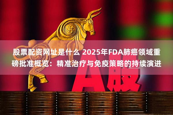 股票配资网址是什么 2025年FDA肺癌领域重磅批准概览：精准治疗与免疫策略的持续演进