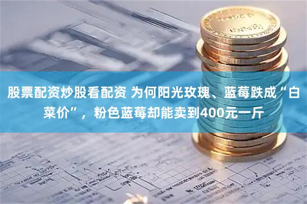 股票配资炒股看配资 为何阳光玫瑰、蓝莓跌成“白菜价”，粉色蓝莓却能卖到400元一斤